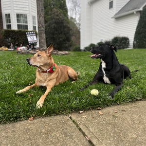 Fundraising Page: Ryan Marshall